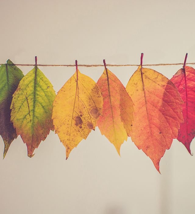 Changing leaves, keep clients during merger