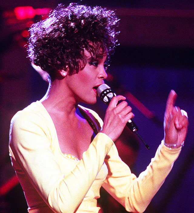 Whitney Houston, estate planning