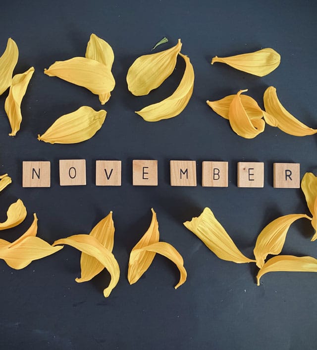 November, National Family Caregiver Month
