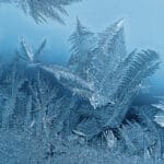 Frozen real estate