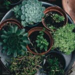 Self directed accounts, retirement, growth