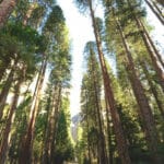 ETF inflows soar