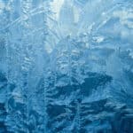 SEC, frozen assets, Ponzi scheme