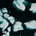 Endowment, risk