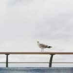 markets, investing, volatility