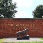 COLLEGE-osullivan-university-intergenerational-hub-art-new