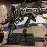Museum donation