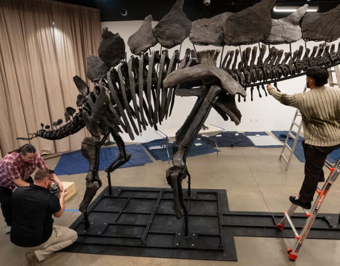 Museum donation