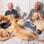 Puppy raisers