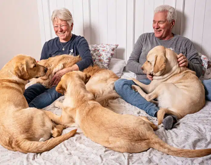 Puppy raisers