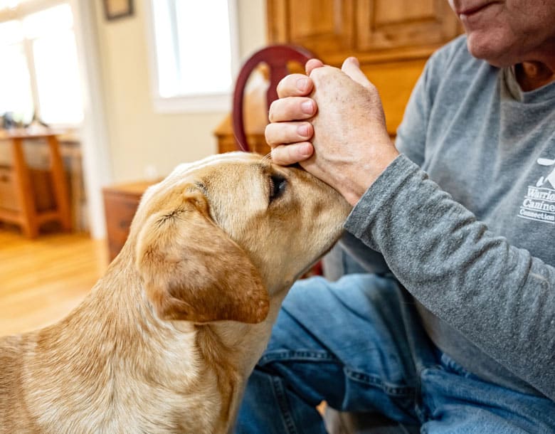 Puppy raisers