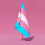 Transgender estate planning