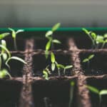 Firm growth, practice management