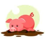 Pig butchering scam