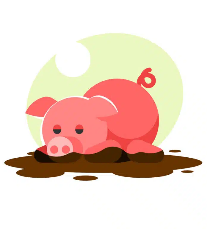 Pig butchering scam