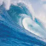Gray tsunami