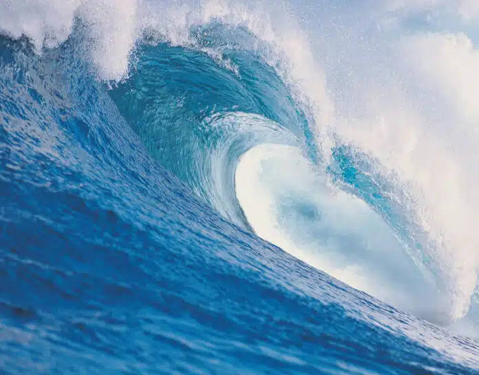 Gray tsunami